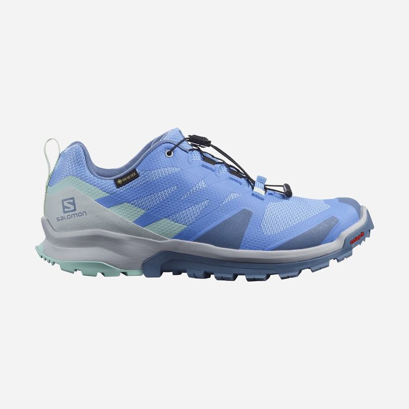 Salomon Israel XA ROGG GTX W - Womens Trail Running Shoes - Blue (NSDV-02143)